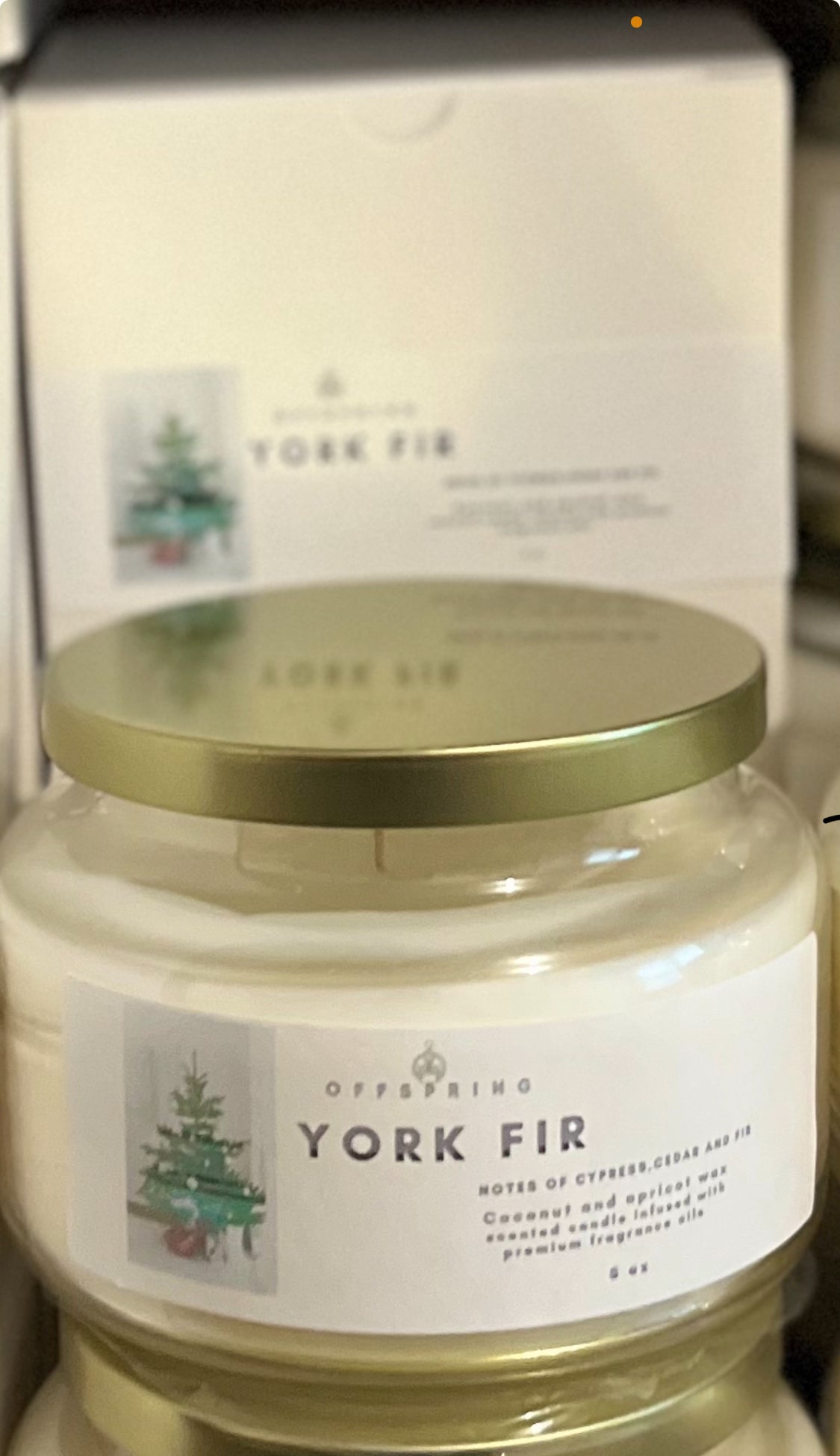 YORK FIR