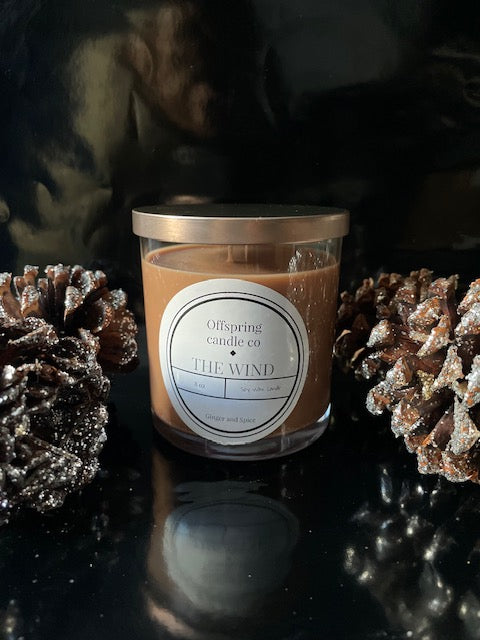 The Wind Candle